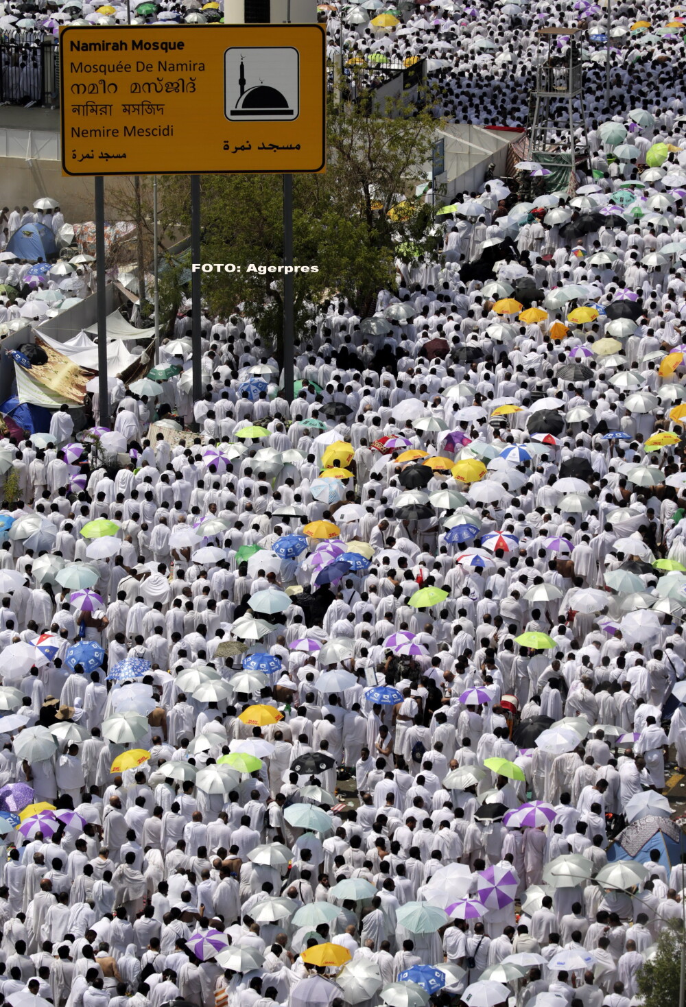 Tragedie la pelerinajul anual din orasul sfant Mecca. Bilantul a ajuns la 717 morti si 805 raniti. GALERIE FOTO - Imaginea 6