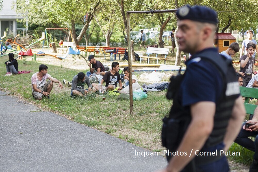 Refugiaţi aduşi la poliţie, în Timişoara