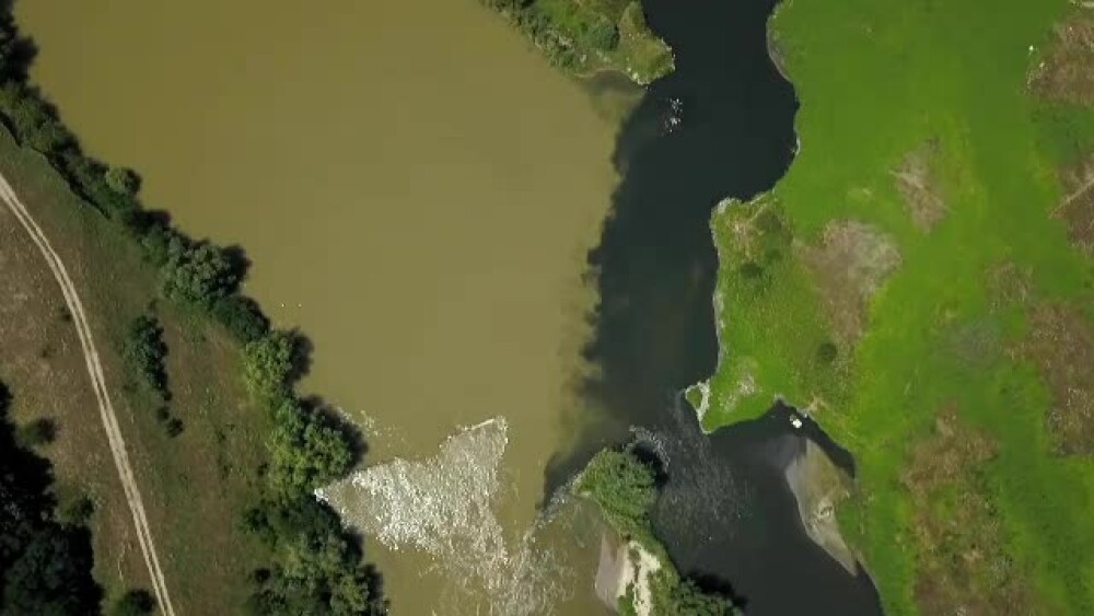 Apă infestată Dâmboviţa