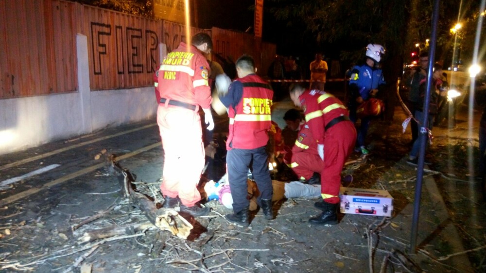 Copac căzut peste un trecător, pe şoseaua Viilor