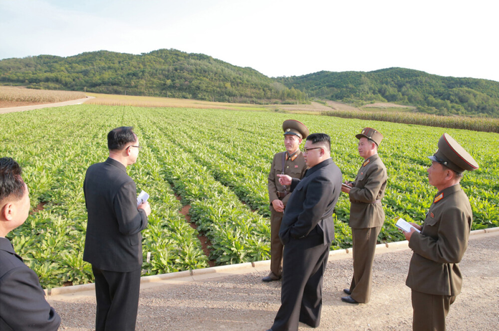 Kim Jong-un a vizitat o fermă, generalii au luat notițe în lanul de orez. Imaginile publicate sunt amuzante și sinistre - Imaginea 22