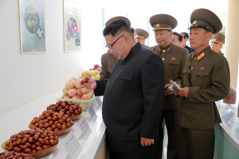Kim Jong-un a vizitat o fermă, generalii au luat notițe în lanul de orez. Imaginile publicate sunt amuzante și sinistre - Imaginea 20