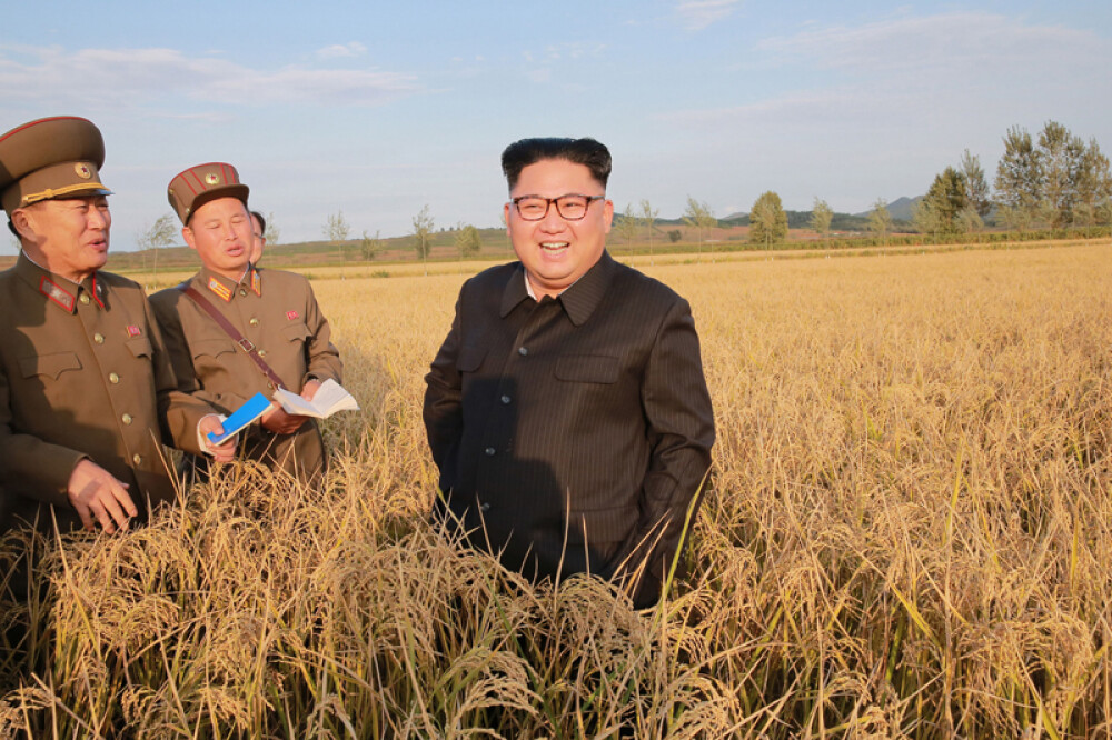 Kim Jong-un a vizitat o fermă, generalii au luat notițe în lanul de orez. Imaginile publicate sunt amuzante și sinistre - Imaginea 19