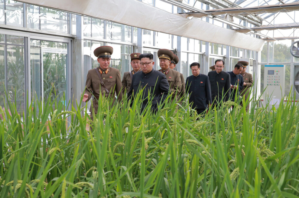 Kim Jong-un a vizitat o fermă, generalii au luat notițe în lanul de orez. Imaginile publicate sunt amuzante și sinistre - Imaginea 14