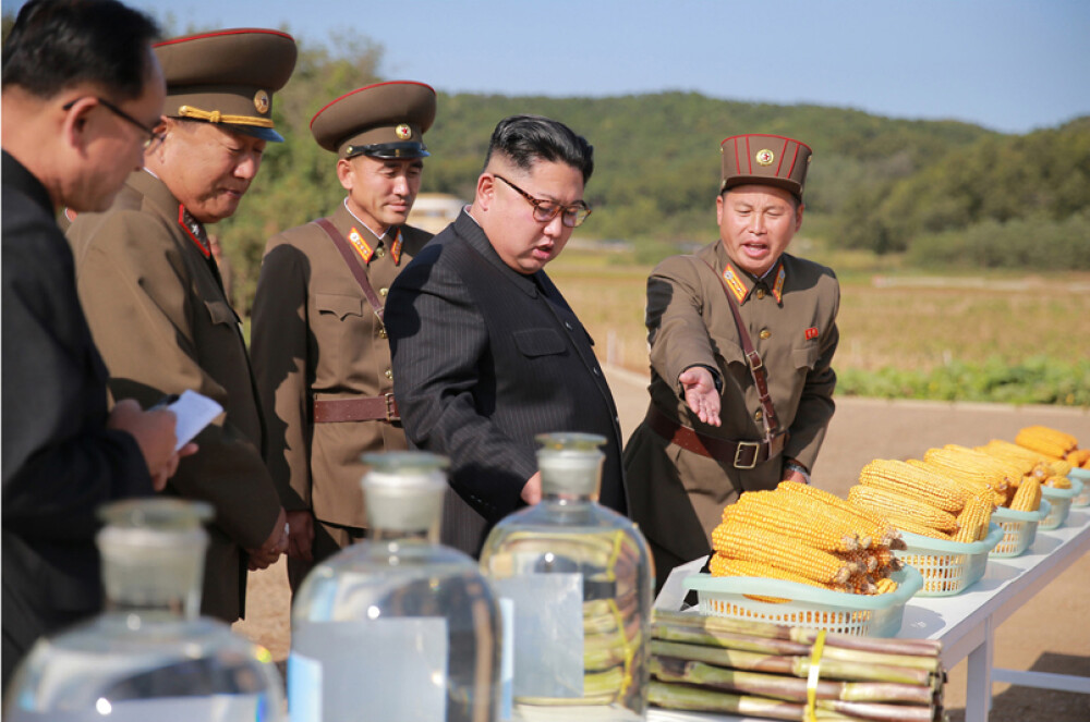 Kim Jong-un a vizitat o fermă, generalii au luat notițe în lanul de orez. Imaginile publicate sunt amuzante și sinistre - Imaginea 10