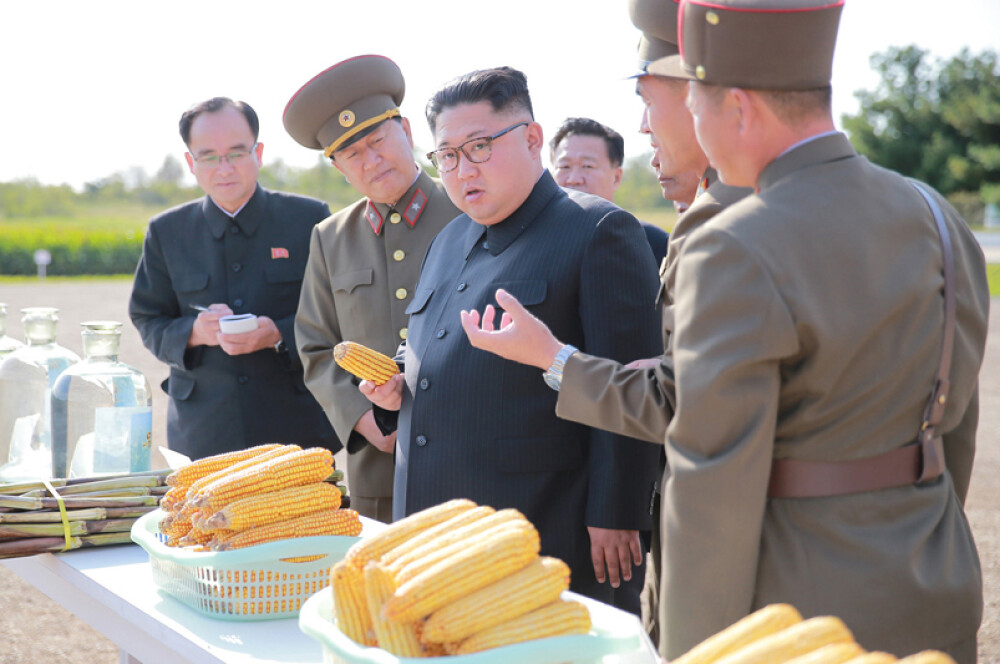 Kim Jong-un a vizitat o fermă, generalii au luat notițe în lanul de orez. Imaginile publicate sunt amuzante și sinistre - Imaginea 9