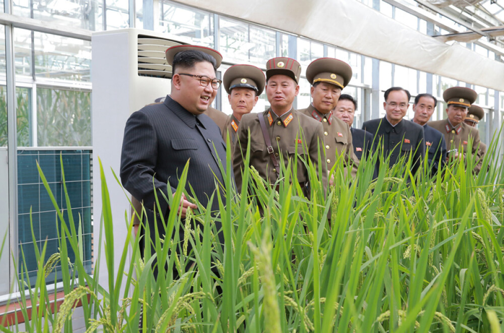 Kim Jong-un a vizitat o fermă, generalii au luat notițe în lanul de orez. Imaginile publicate sunt amuzante și sinistre - Imaginea 6
