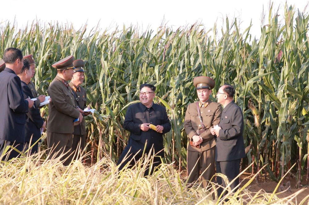 Kim Jong-un a vizitat o fermă, generalii au luat notițe în lanul de orez. Imaginile publicate sunt amuzante și sinistre - Imaginea 3