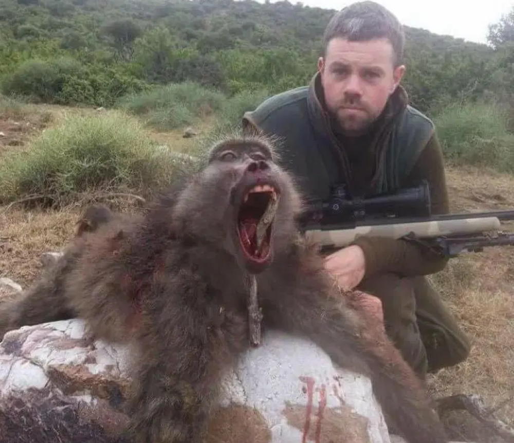 Motivul tulburător pentru care sute de maimuțe au fost ucise: „Este dezgustător” - Imaginea 2