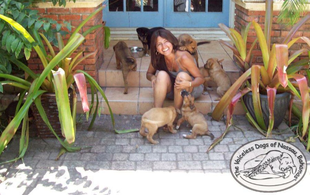 100 de câini, salvați de o femeie din calea uraganului Dorian. „E o nebunie aici” - Imaginea 1
