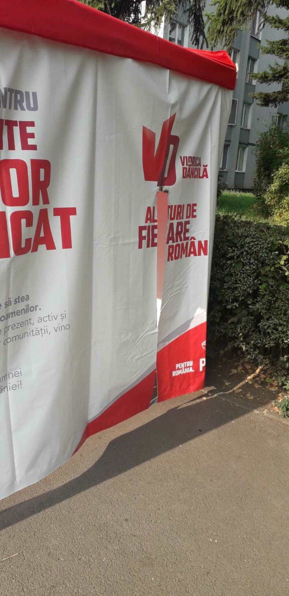 Cortul de campanie al Vioricăi Dăncilă din Brașov a fost vandalizat - Imaginea 3