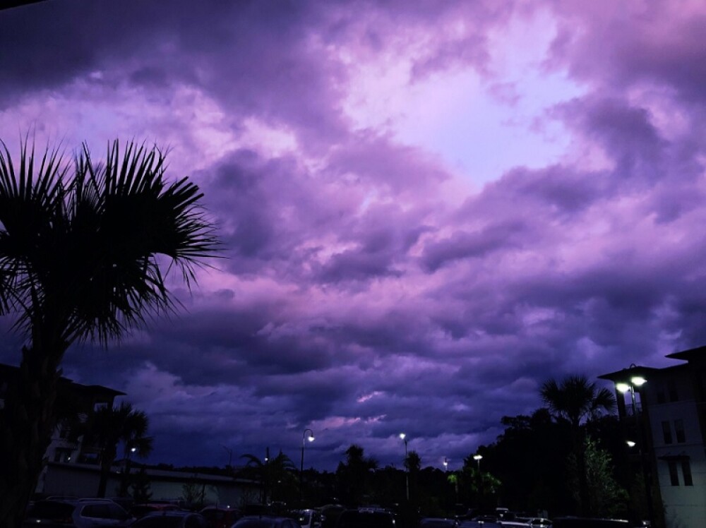 GALERIE FOTO Fenomen bizar în Florida după trecerea uraganului Dorian. Care e explicația - Imaginea 2