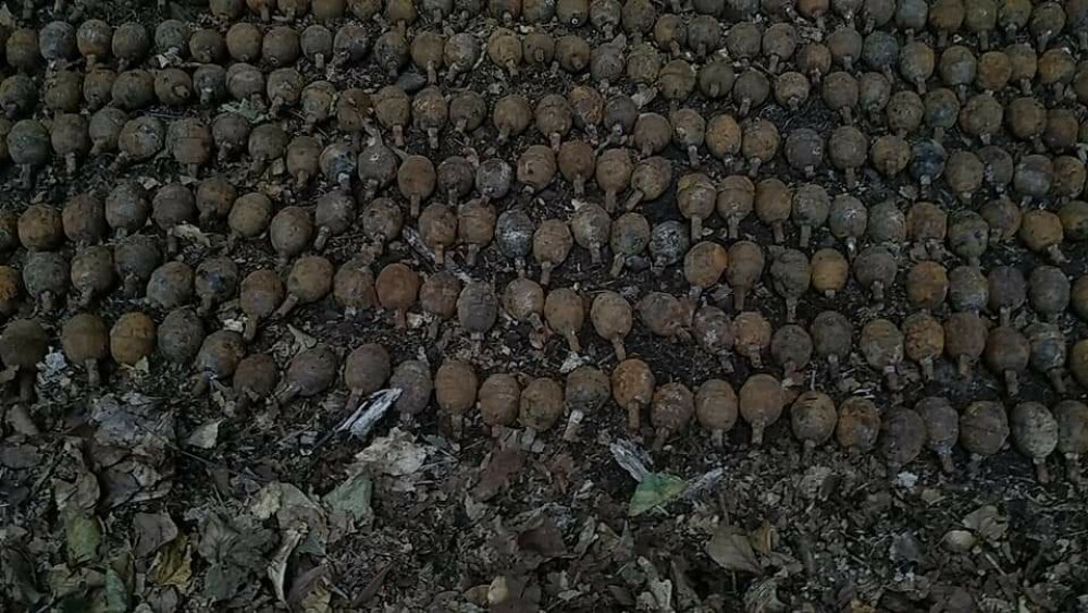 Peste 1.000 de grenade germane din Primul Război Mondial, găsite în Vrancea - Imaginea 3