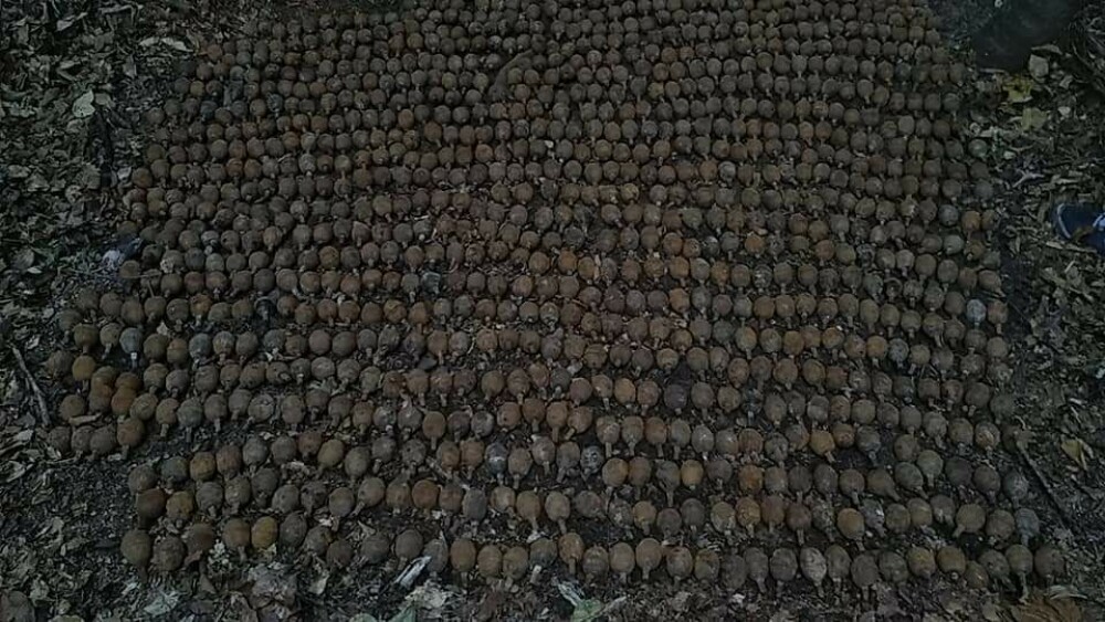 Peste 1.000 de grenade germane din Primul Război Mondial, găsite în Vrancea - Imaginea 2