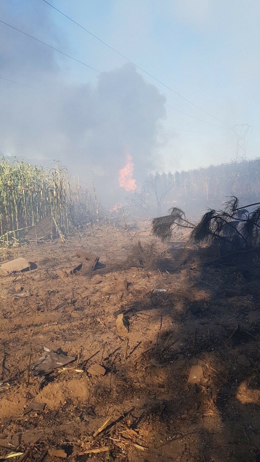 Un F-16 al armatei belgiene s-a prăbușit. Incredibil unde a ajuns pilotul catapultat - Imaginea 5