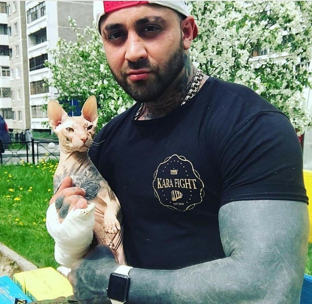 Un blogger rus își caută disperat pisica pierdută. Ce tatuaje are animalul pe corp - Imaginea 6