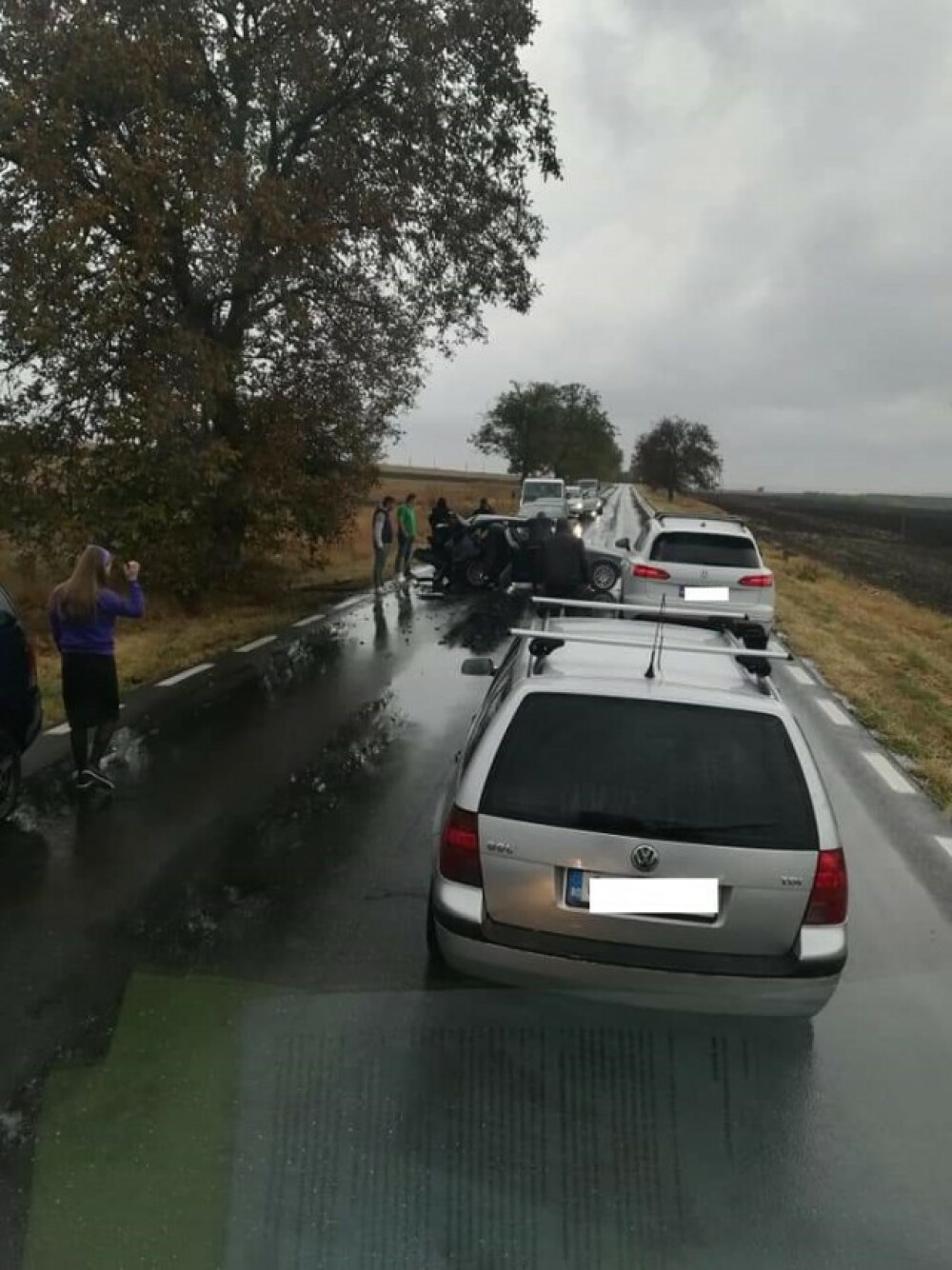 Un șofer a intrat cu mașina în pom și a ucis un om, în Constanța. FOTO - Imaginea 3