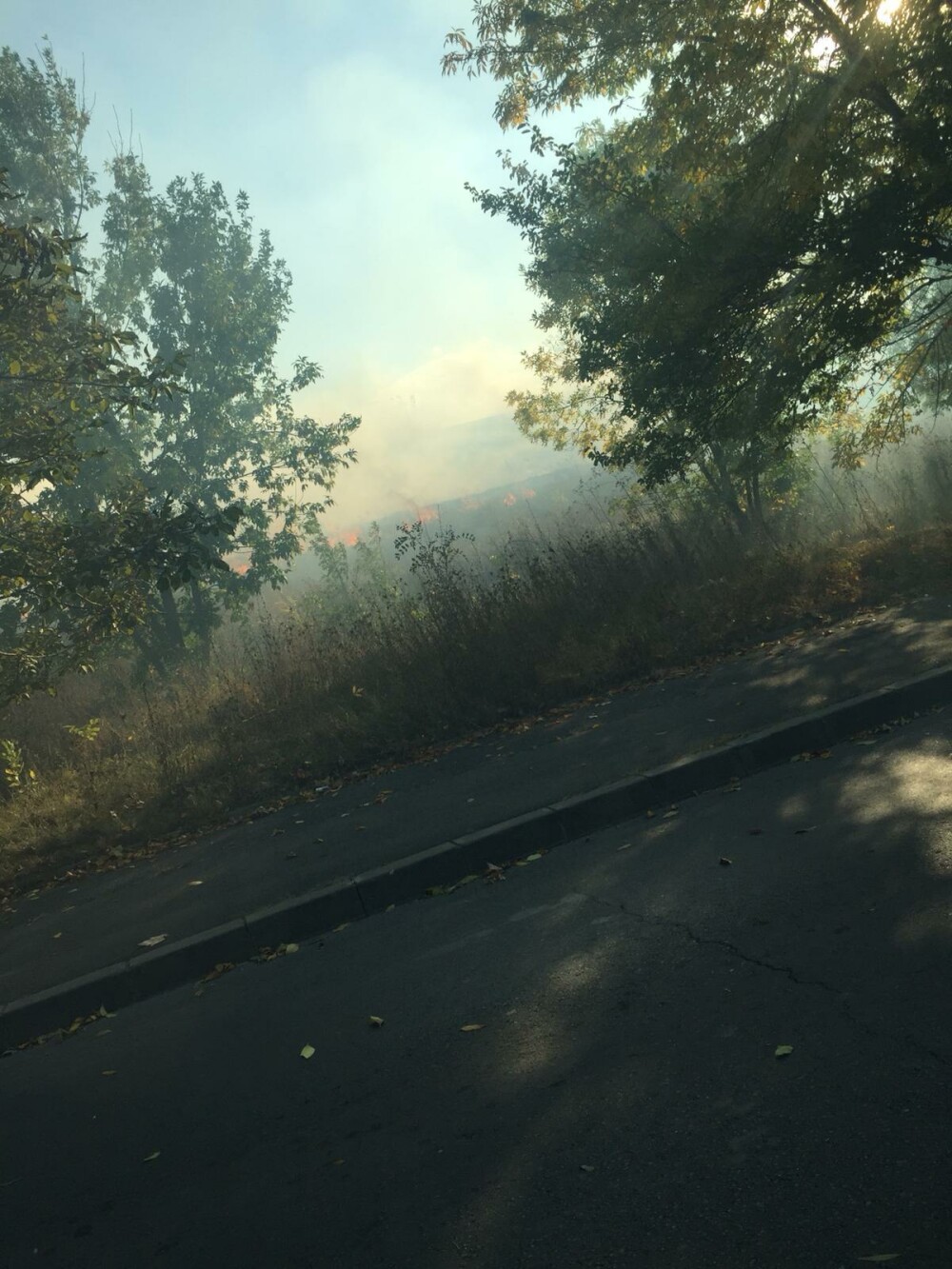 Incendiul de vegetație din București a fost stins. Traficul, reluat pe Splaiul Unirii - Imaginea 4