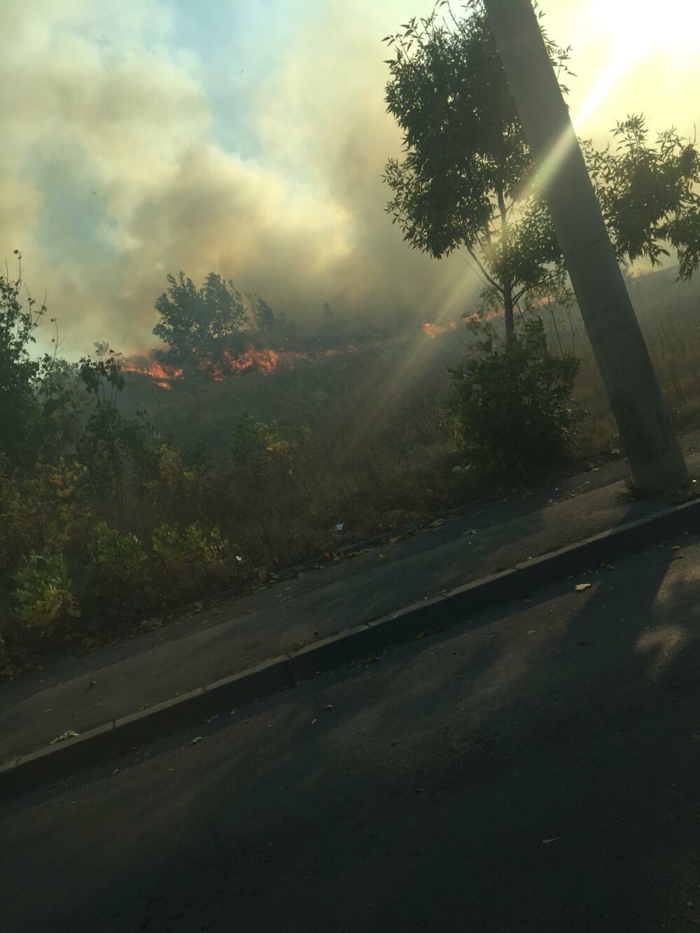 Incendiul de vegetație din București a fost stins. Traficul, reluat pe Splaiul Unirii - Imaginea 3