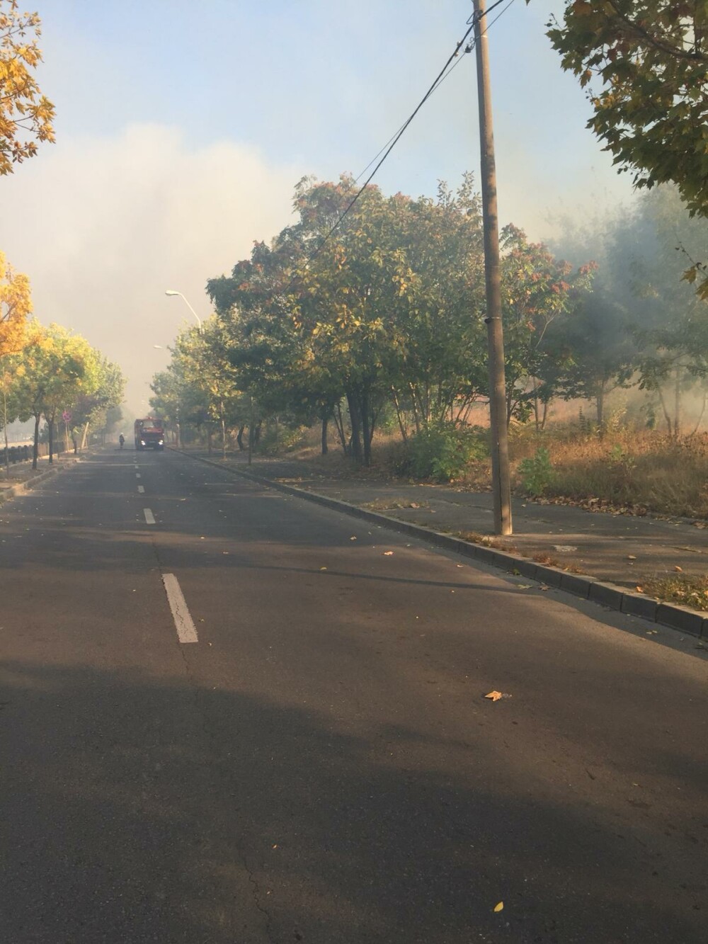 Incendiul de vegetație din București a fost stins. Traficul, reluat pe Splaiul Unirii - Imaginea 2