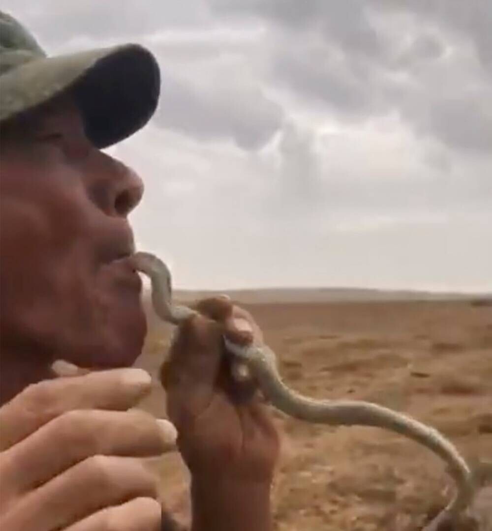 FOTO. Un fermier din Rusia a murit după ce a vrut să înghită o viperă de stepă. 