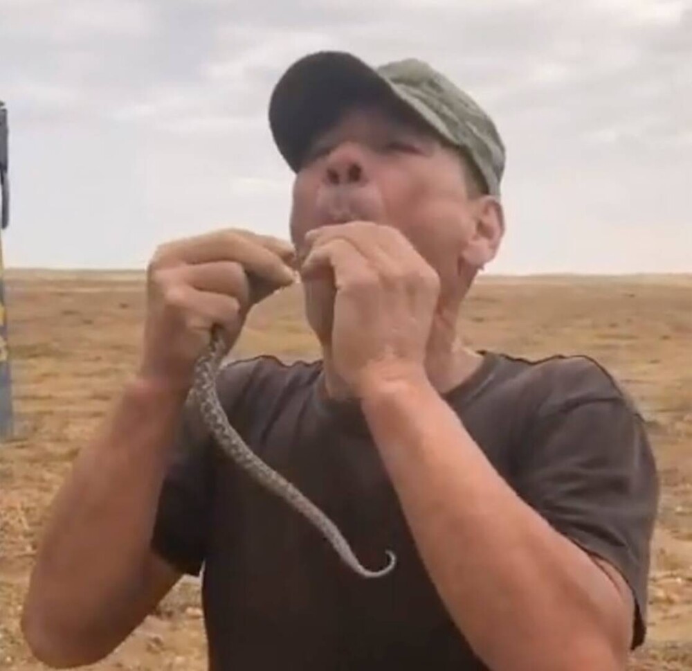 FOTO. Un fermier din Rusia a murit după ce a vrut să înghită o viperă de stepă. 