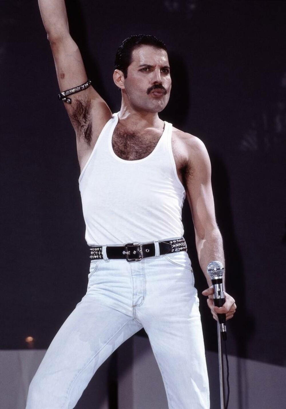 Freddie Mercury. Curiozități despre viața remarcabilului solist al trupei Queen - Imaginea 18