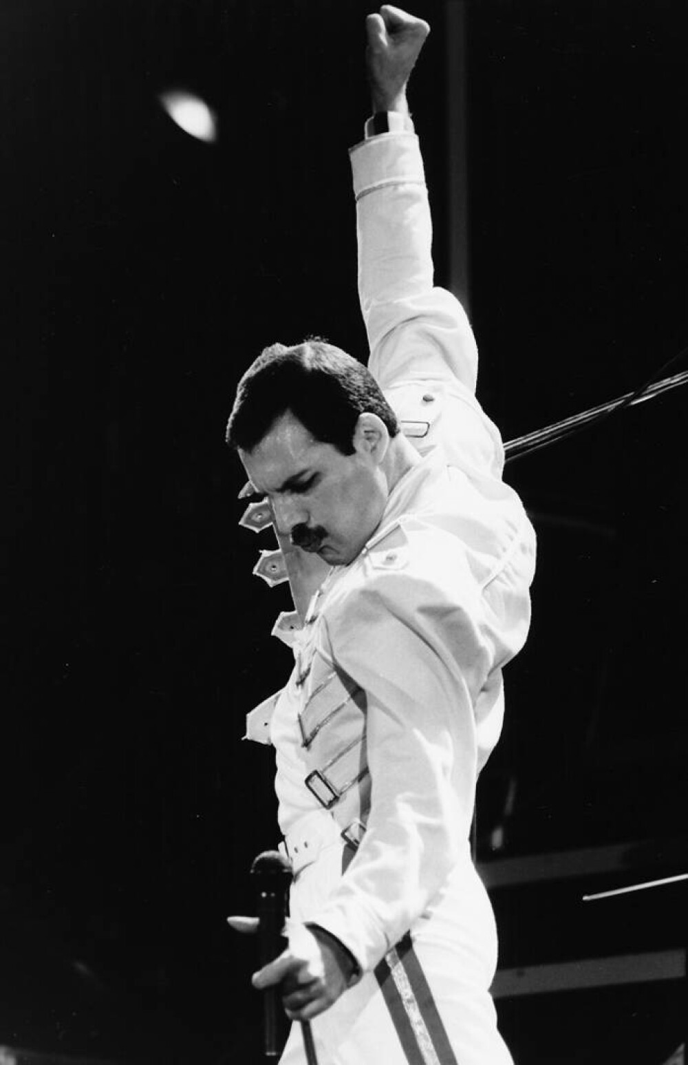 Freddie Mercury. Curiozități despre viața remarcabilului solist al trupei Queen - Imaginea 17