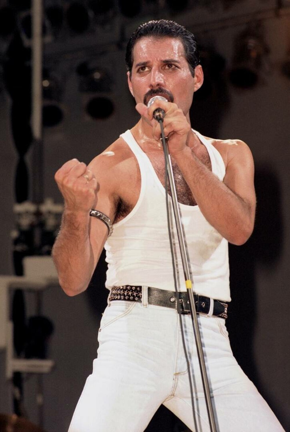 Freddie Mercury. Curiozități despre viața remarcabilului solist al trupei Queen - Imaginea 15