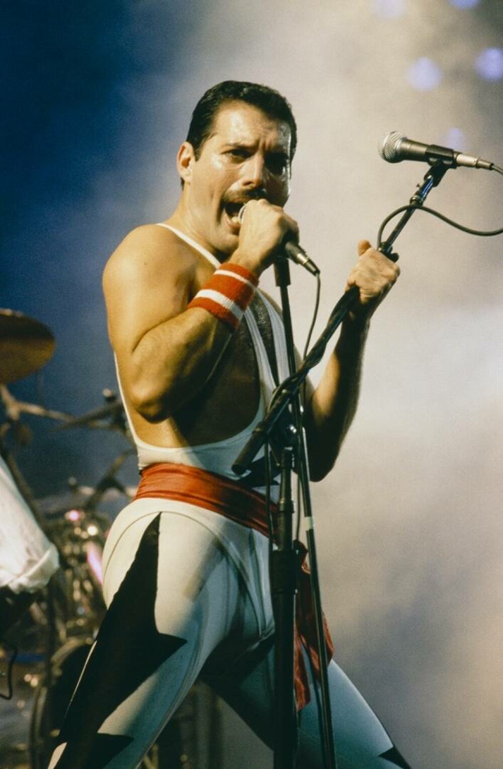 Freddie Mercury. Curiozități despre viața remarcabilului solist al trupei Queen - Imaginea 13