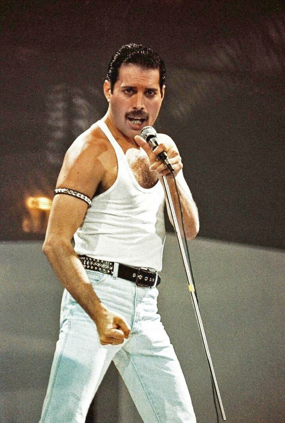 Freddie Mercury. Curiozități despre viața remarcabilului solist al trupei Queen - Imaginea 10