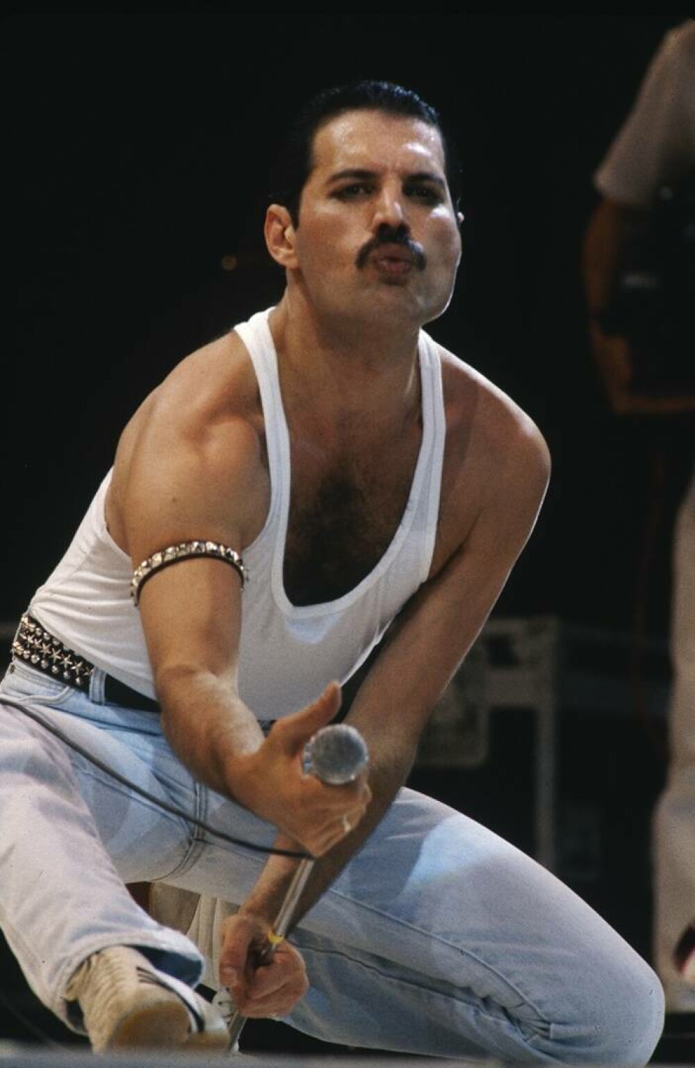 Freddie Mercury. Curiozități despre viața remarcabilului solist al trupei Queen - Imaginea 9