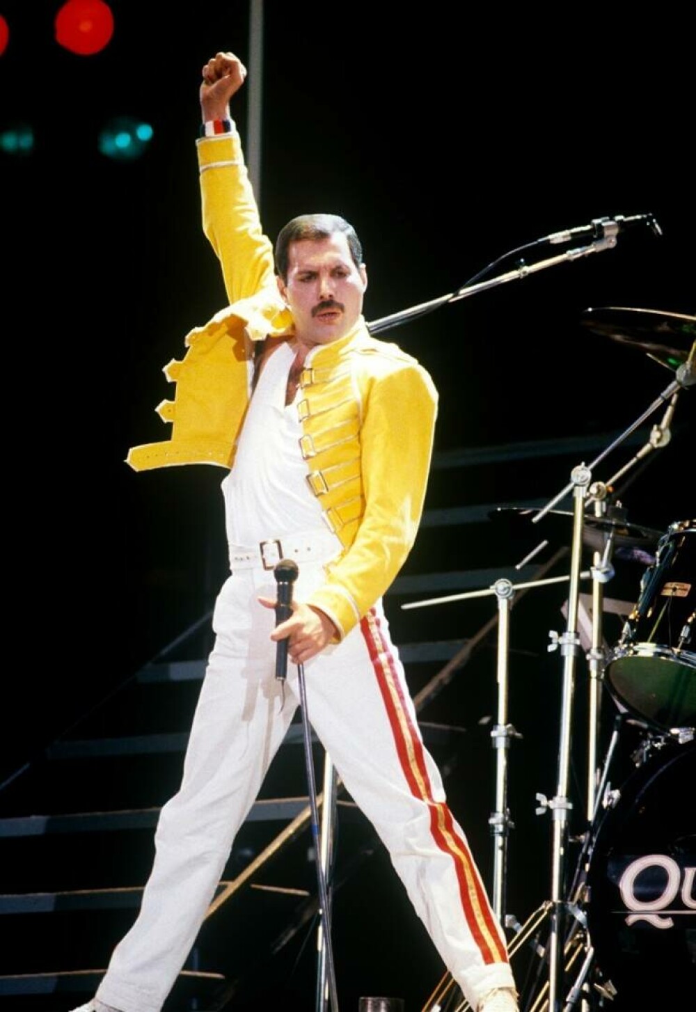 Freddie Mercury. Curiozități despre viața remarcabilului solist al trupei Queen - Imaginea 4