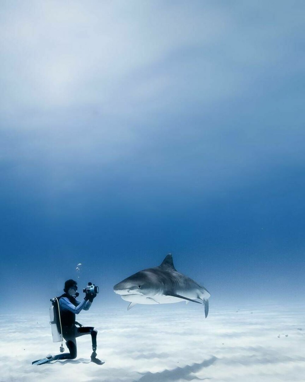 Imagini uimitoare surprinse de supraviețuitorul atacului unui rechin. Fotografiază prădătorii de aproape | GALERIE FOTO - Imaginea 9