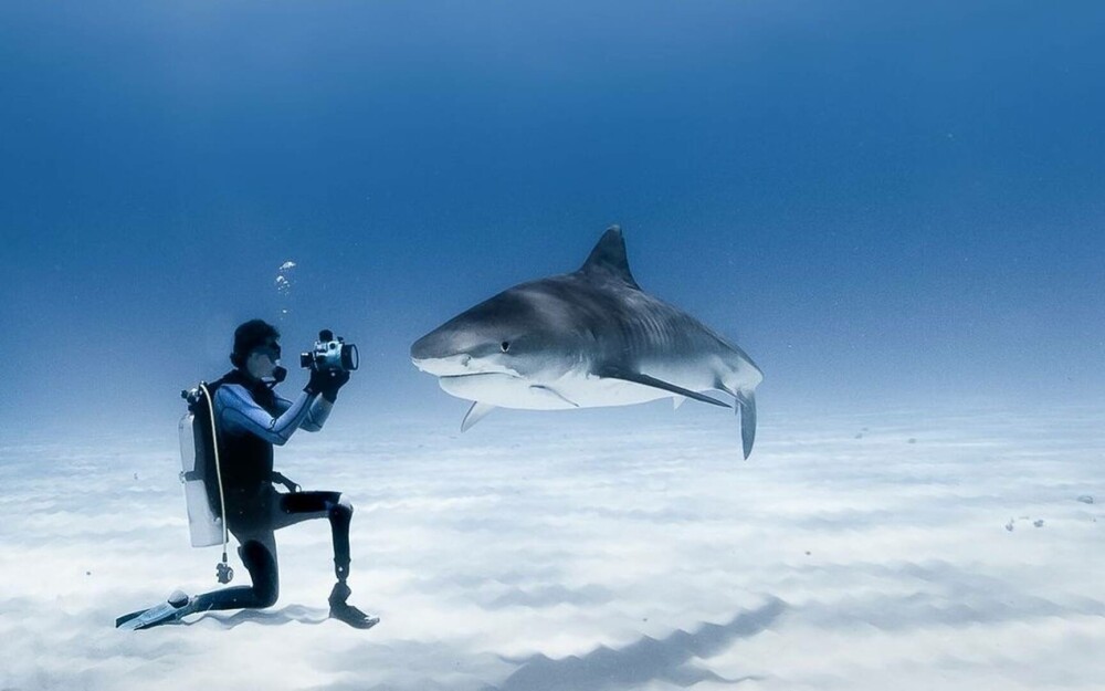 Imagini uimitoare surprinse de supraviețuitorul atacului unui rechin. Fotografiază prădătorii de aproape | GALERIE FOTO - Imaginea 18