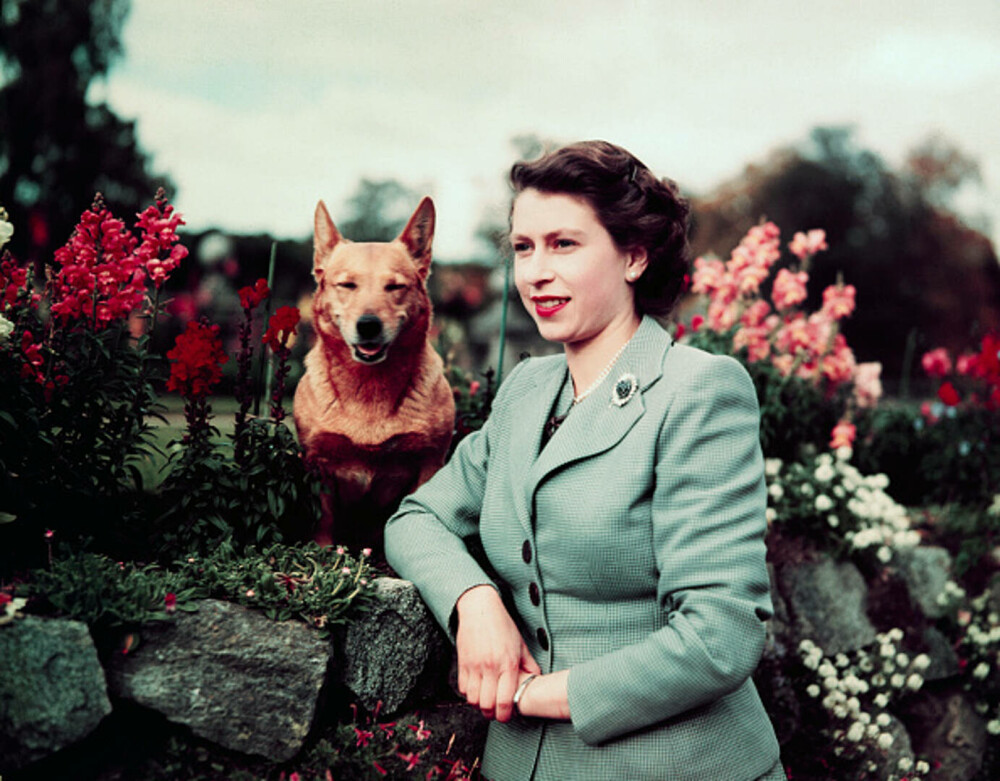 Moment istoric. Cum a anunțat BBC moartea Reginei Elisabeta a Marii Britanii VIDEO - Imaginea 17