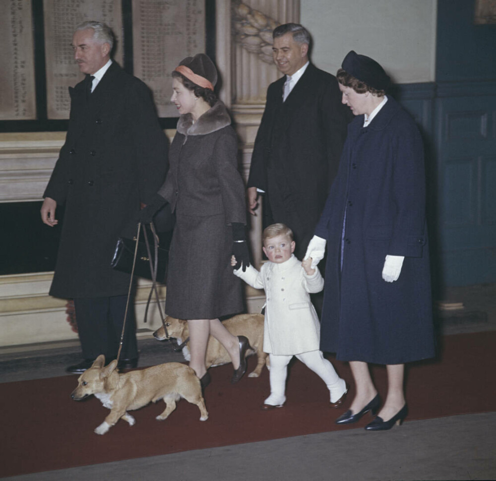 Lucruri fascinante despre câinii reginei Elisabeta a II-a. Ultimii corgi ai suveranei vor locui la Windsor | GALERIE FOTO - Imaginea 17
