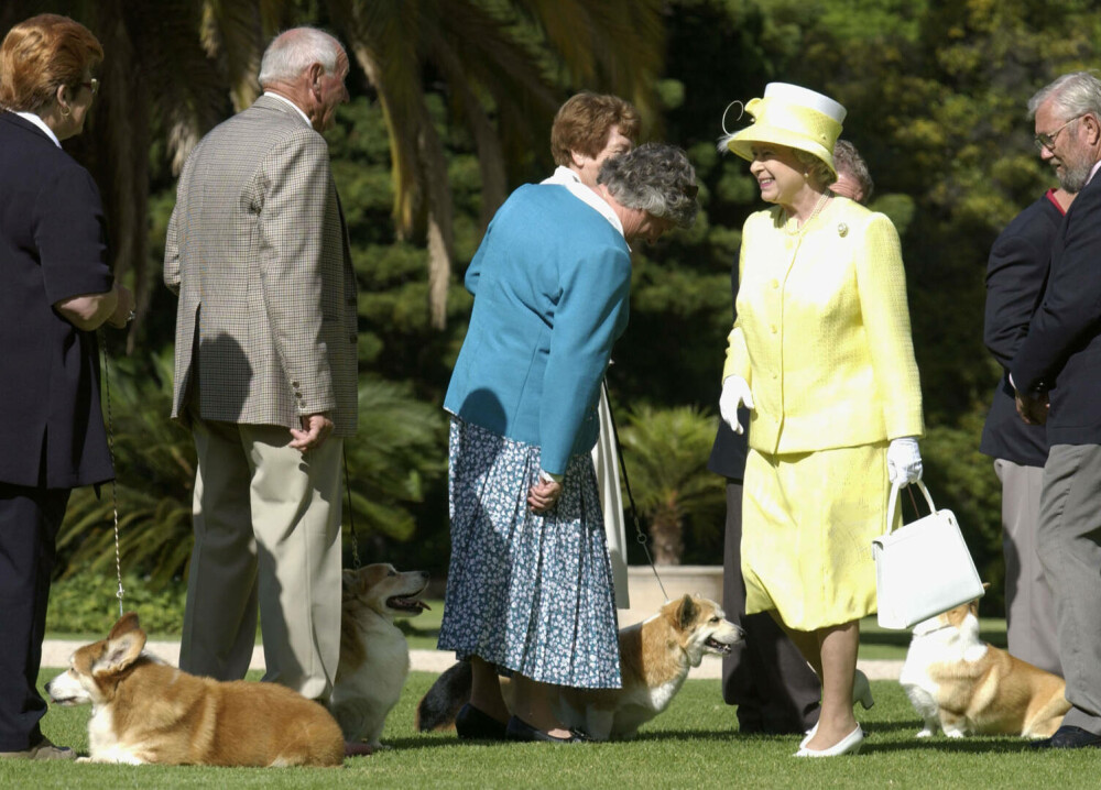Lucruri fascinante despre câinii reginei Elisabeta a II-a. Ultimii corgi ai suveranei vor locui la Windsor | GALERIE FOTO - Imaginea 14
