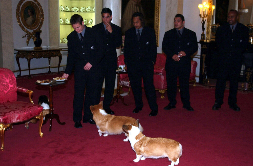 Lucruri fascinante despre câinii reginei Elisabeta a II-a. Ultimii corgi ai suveranei vor locui la Windsor | GALERIE FOTO - Imaginea 13