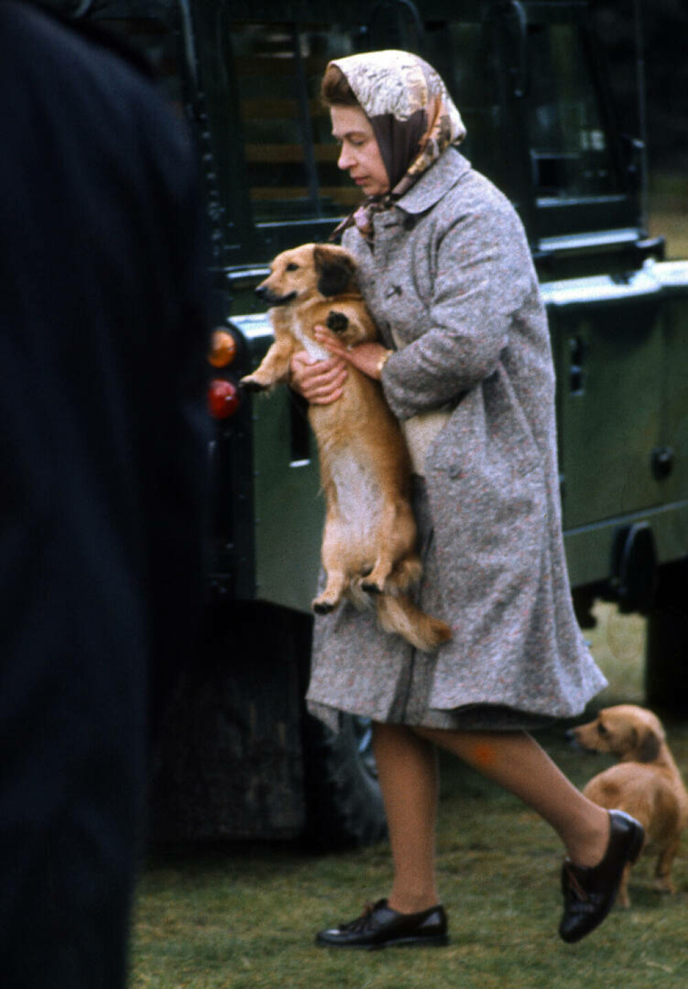 Lucruri fascinante despre câinii reginei Elisabeta a II-a. Ultimii corgi ai suveranei vor locui la Windsor | GALERIE FOTO - Imaginea 12