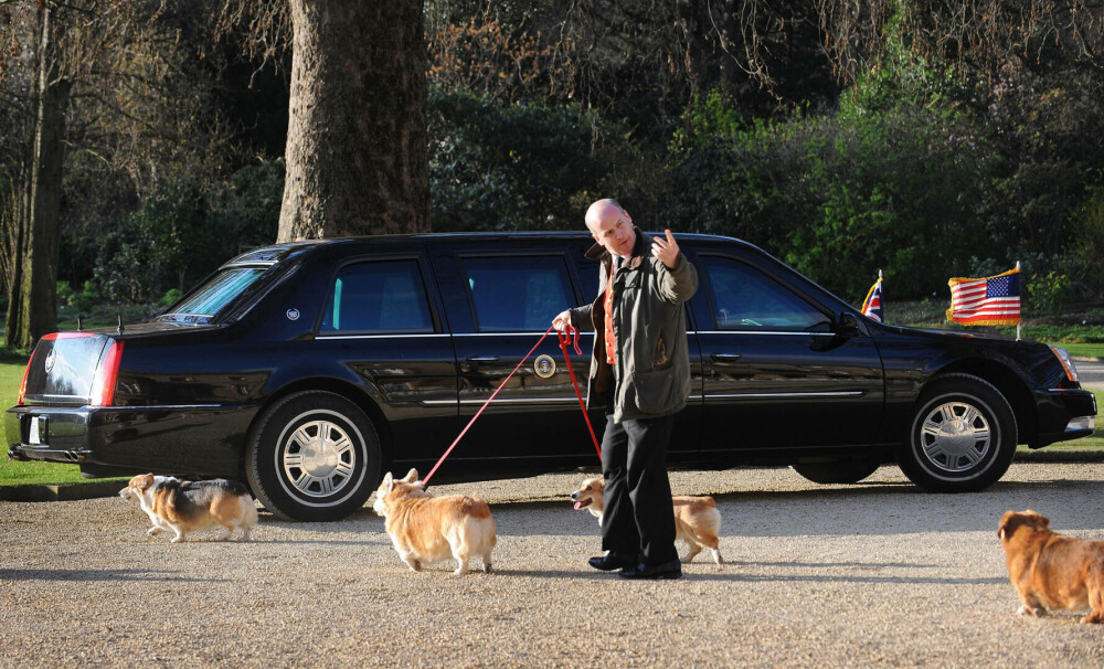 Lucruri fascinante despre câinii reginei Elisabeta a II-a. Ultimii corgi ai suveranei vor locui la Windsor | GALERIE FOTO - Imaginea 5