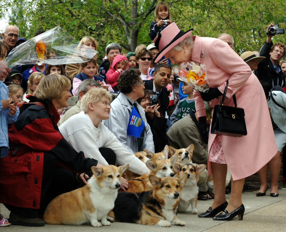 Tradițiile de Crăciun mai puțin obișnuite ale reginei Elisabeta a II-a. „A servit personal masa câinilor” - Imaginea 3