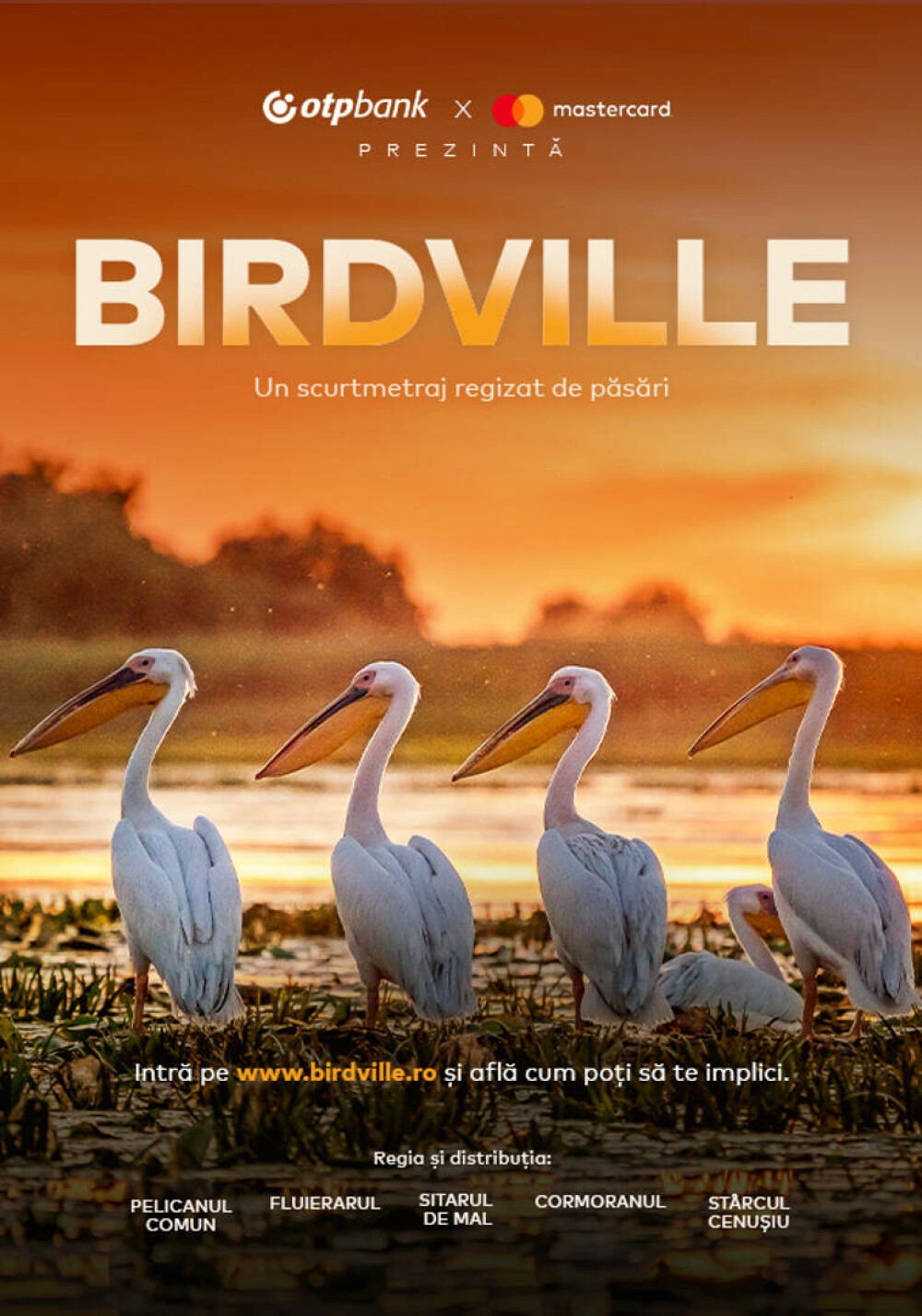 (P)Un scurtmetraj regizat de păsări invită oamenii să se implice în eforturile de conservare a biodiversității Deltei Dunării - Imaginea 8