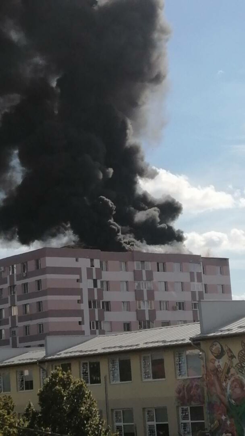 Incendiu la un bloc din apropierea Stadionului „Dan Păltinişanu”, din Timișoara. O butelie a explodat VIDEO - Imaginea 2