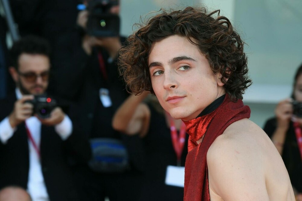 Timothée Chalamet, primul bărbat care apare pe coperta revistei Vogue Marea Britanie GALERIE FOTO - Imaginea 10