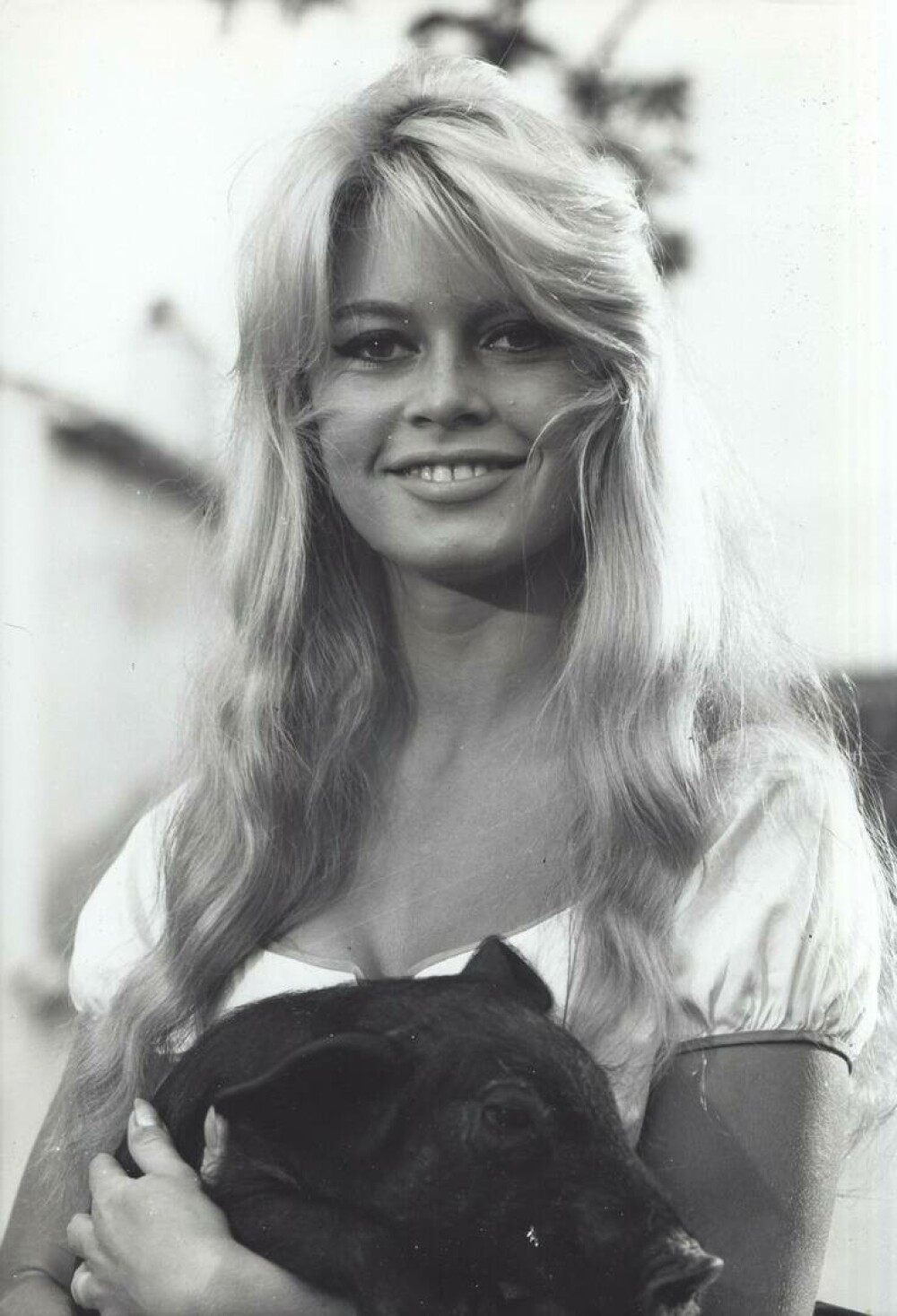 „Brigitte Bardot, între viață și moarte”. Actrița a fost internată, dar a părăsit spitalul împotriva sfaturilor medicilor - Imaginea 8