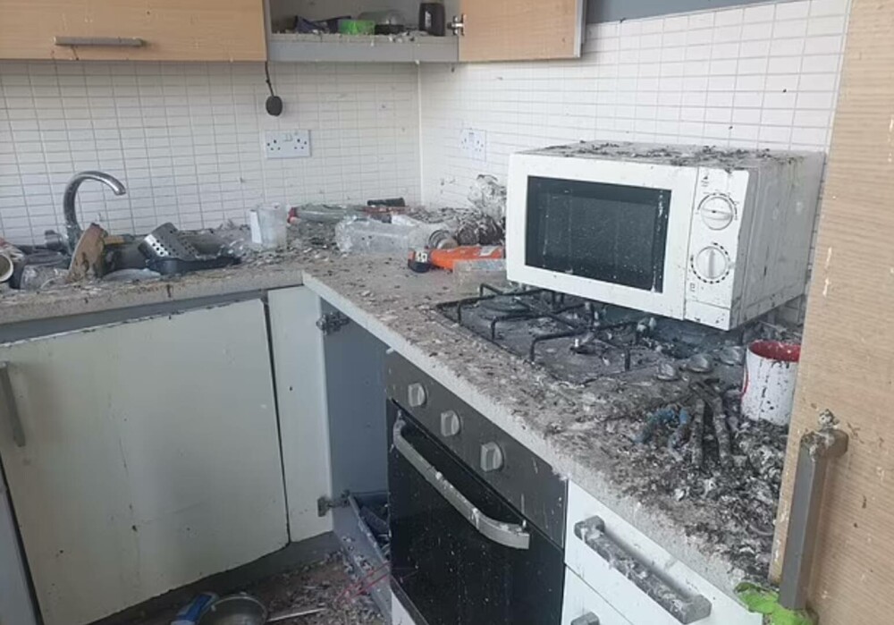 Porumbeii au distrus un apartament după ce chiriașii au lăsat ușa de la balcon întredeschisă. Cât costă curățenia totală - Imaginea 2