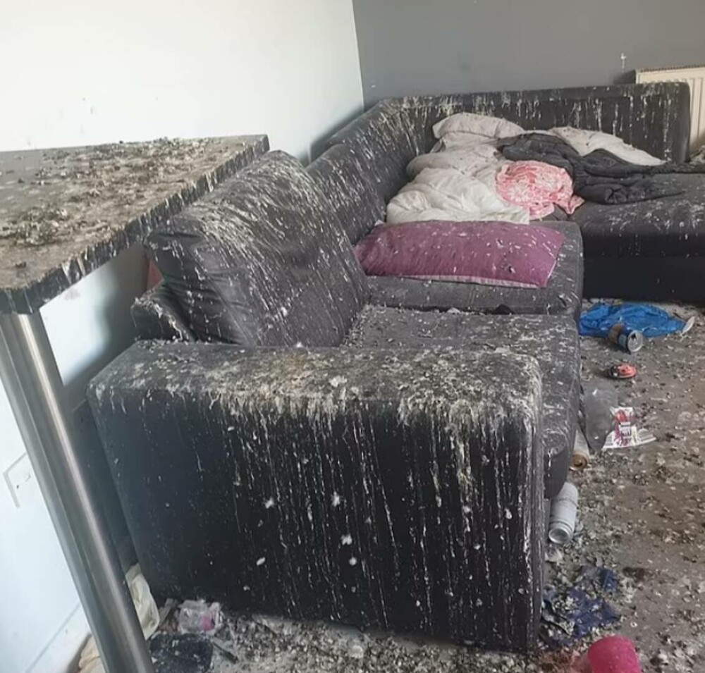 Porumbeii au distrus un apartament după ce chiriașii au lăsat ușa de la balcon întredeschisă. Cât costă curățenia totală - Imaginea 3