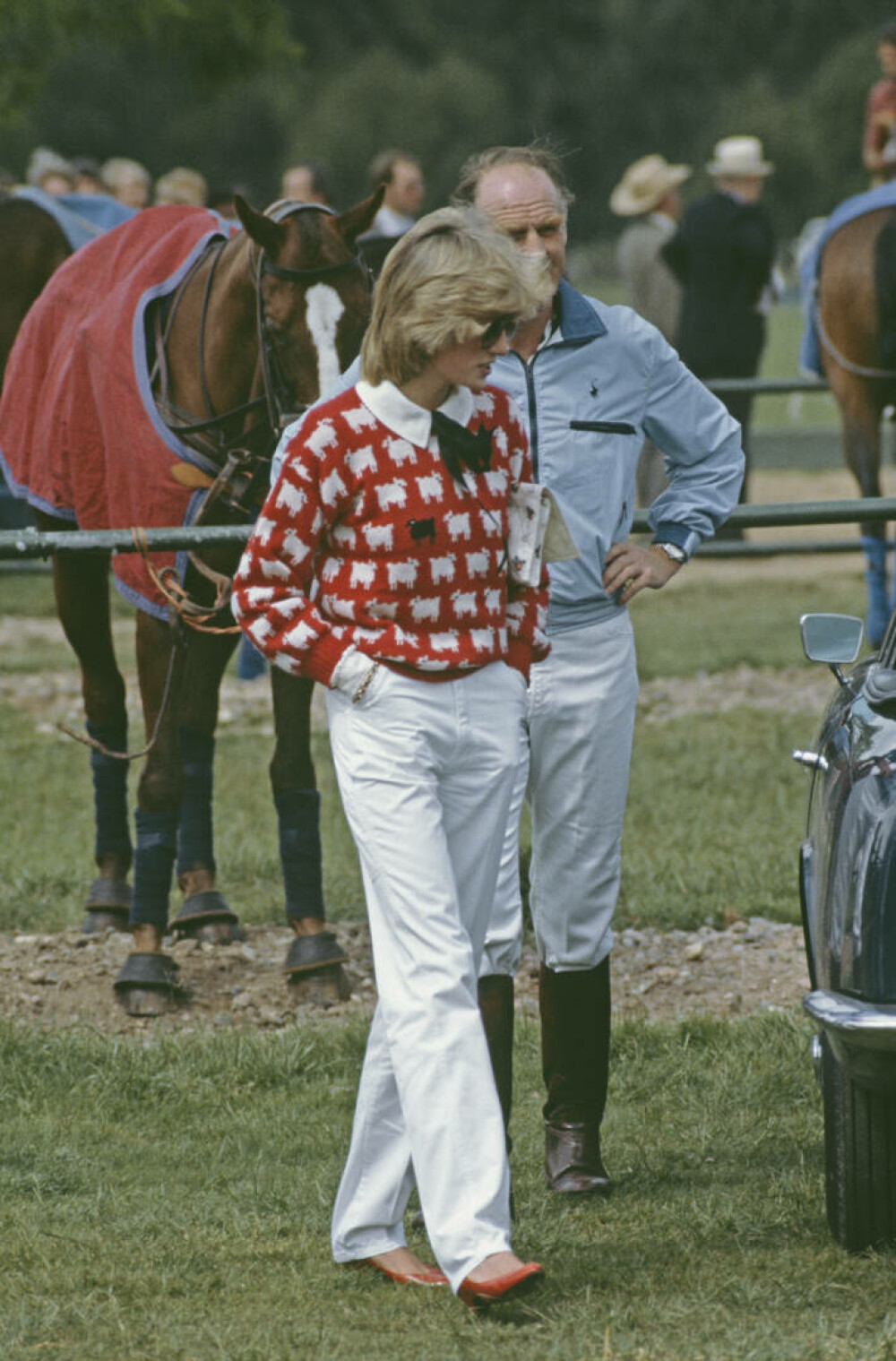Celebrul pulover cu oi purtat de prinţesa Diana, vândut la licitaţie cu peste un milion de dolari. FOTO - Imaginea 2