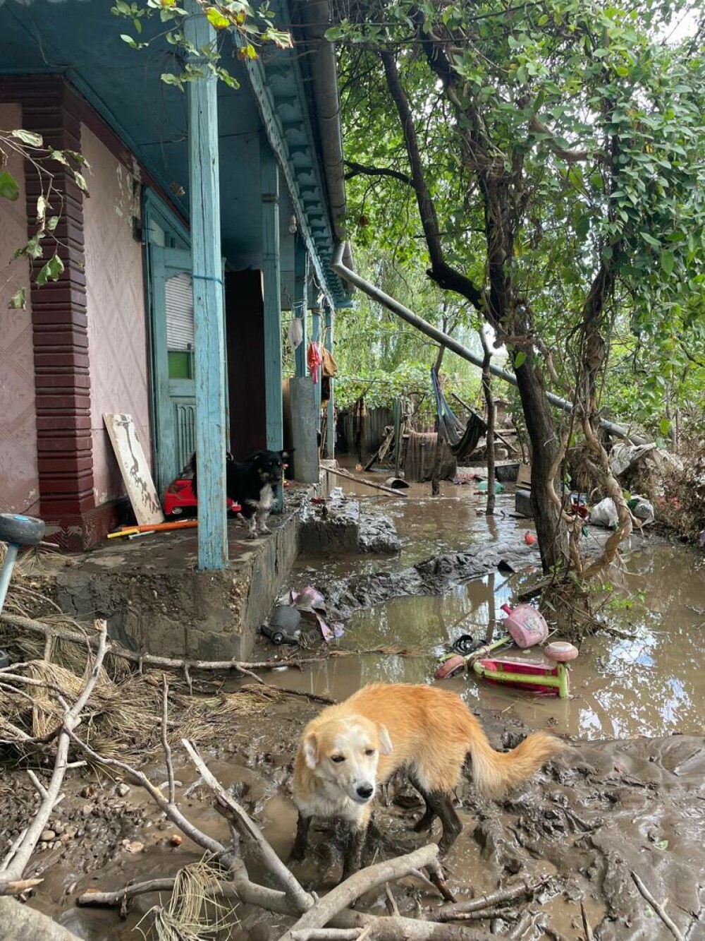 Patru mii de locuinţe din judeţul Galaţi au fost afectate de inundaţii. 900 au fost distruse aproape în totalitate - Imaginea 10